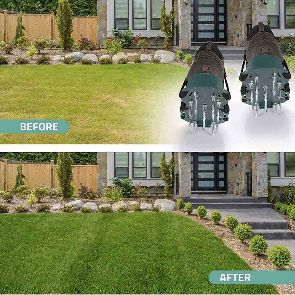 Lawn Aerator Shoes: image 3